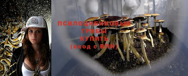 кокаин премиум Беломорск